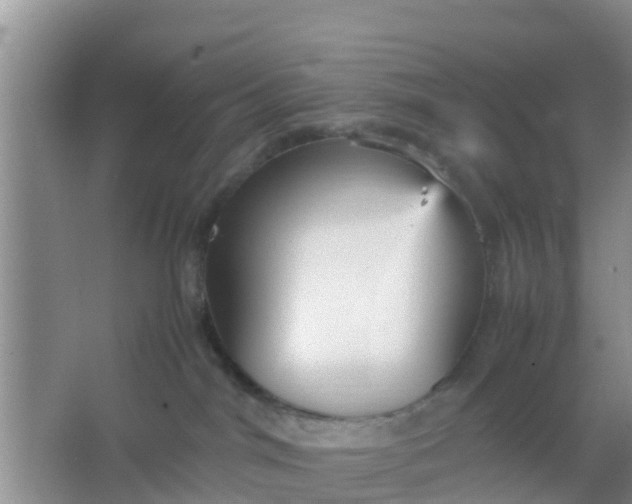 X0000066940044200604071924