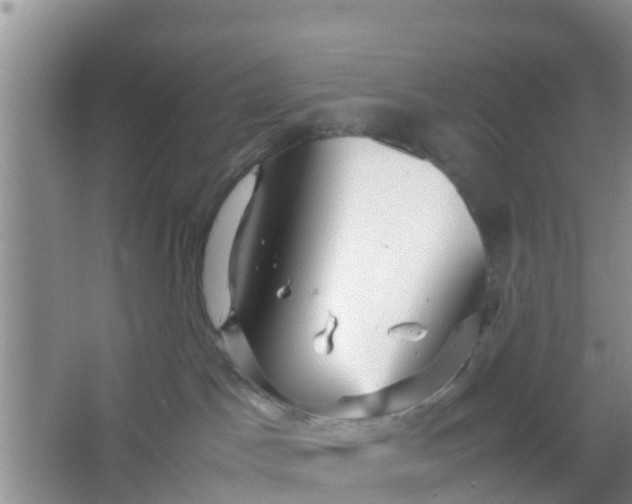 X0000066940045200604071924