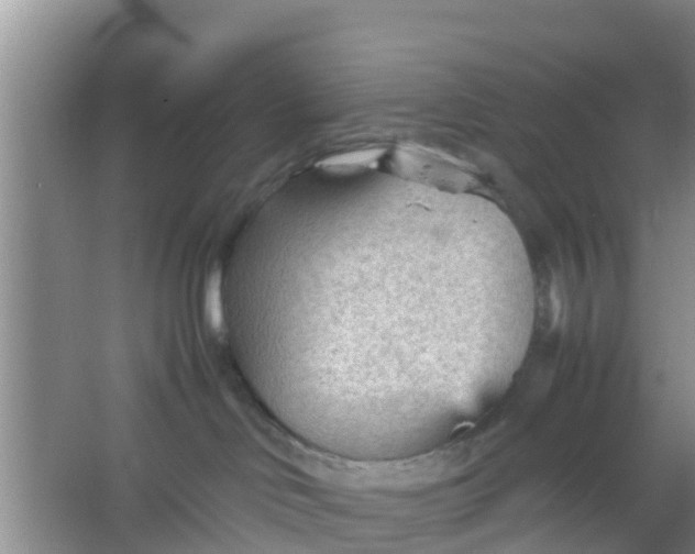 X0000066940046200604071924