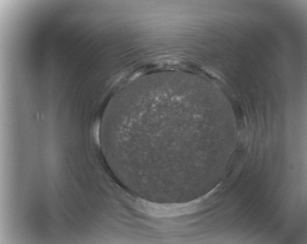 X0000066940047200604071924