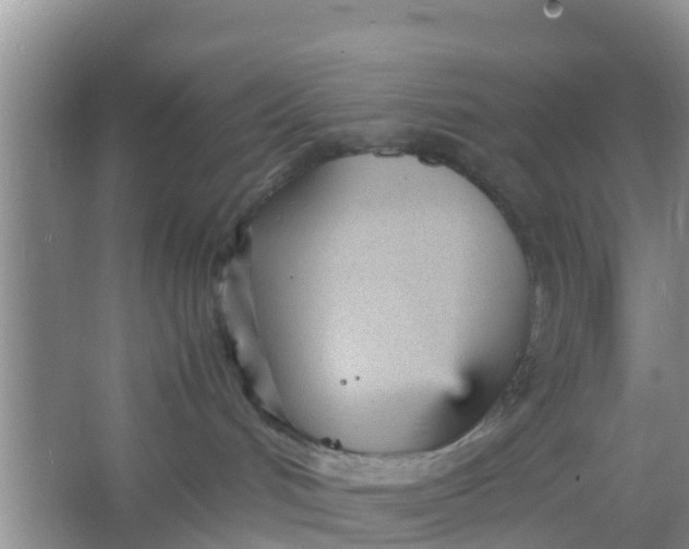 X0000066940048200604071924