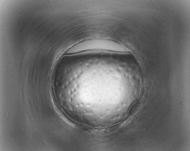 X0000066940049200604071923