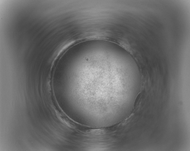 X0000066940050200604071923