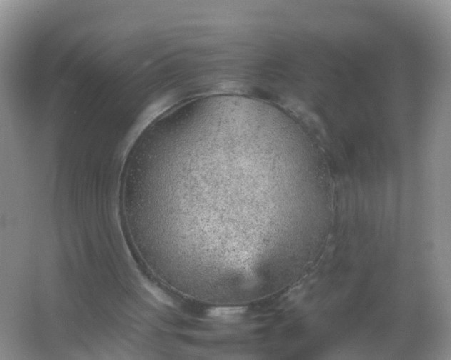 X0000066940051200604071923