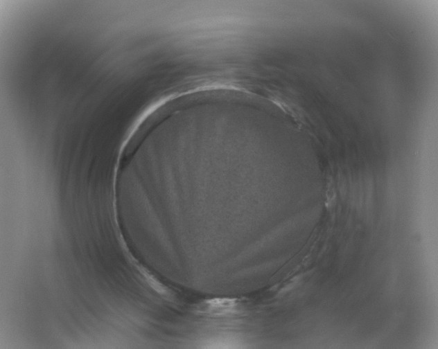 X0000066940052200604071923