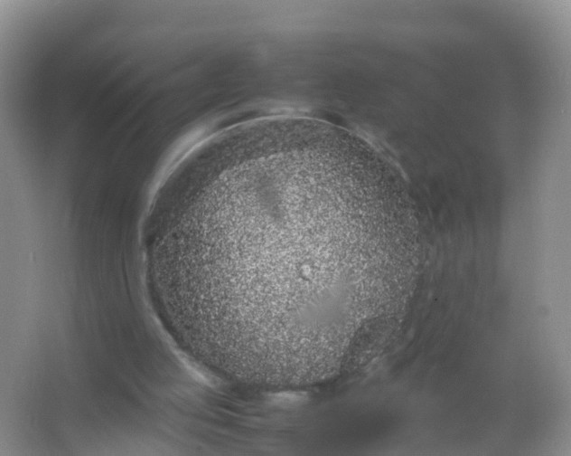 X0000066940053200604071923