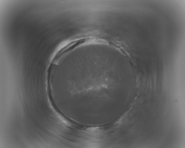 X0000066940054200604071923