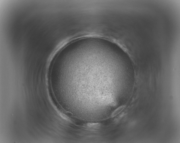 X0000066940055200604071923