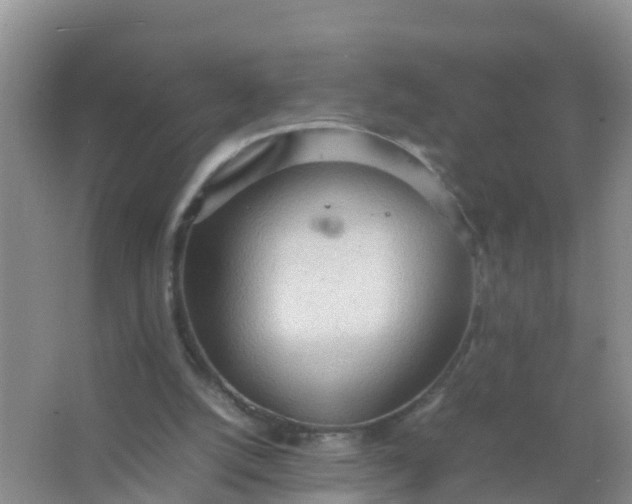 X0000066940056200604071923