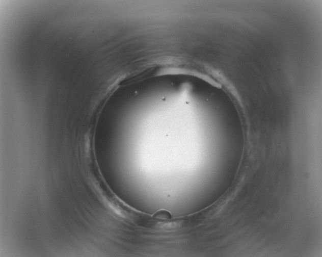 X0000066940057200604071923