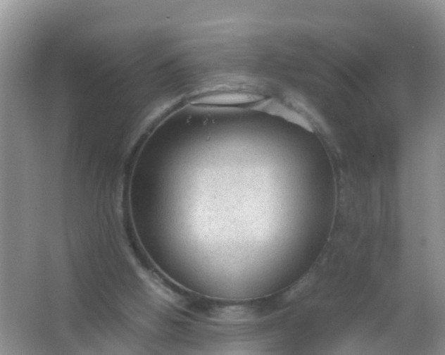 X0000066940058200604071923