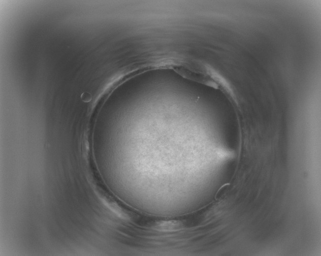 X0000066940059200604071923