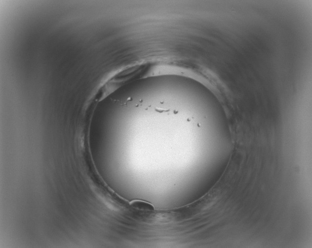 X0000066940060200604071923