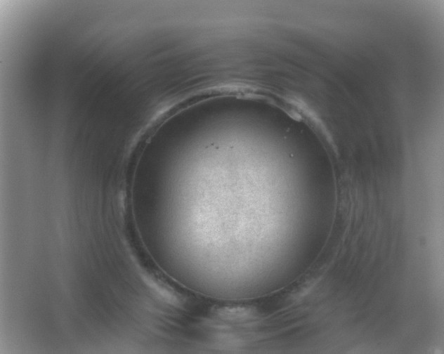 X0000066940063200604071923