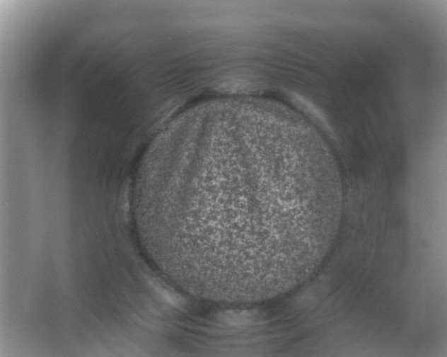 X0000066940065200604071923