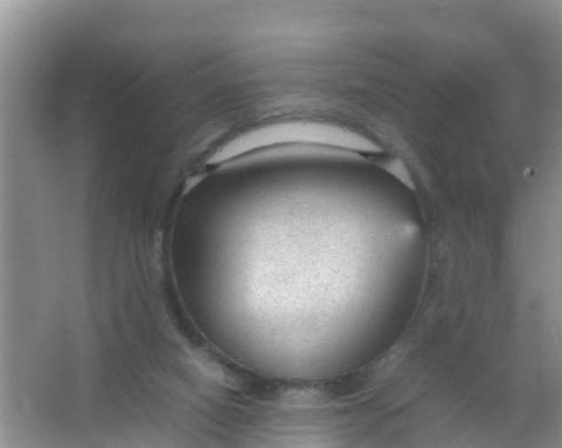 X0000066940066200604071923