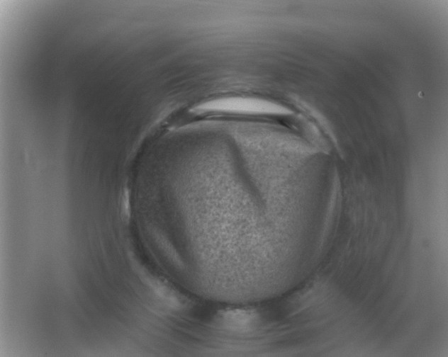 X0000066940067200604071923