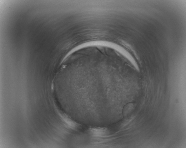 X0000066940069200604071923