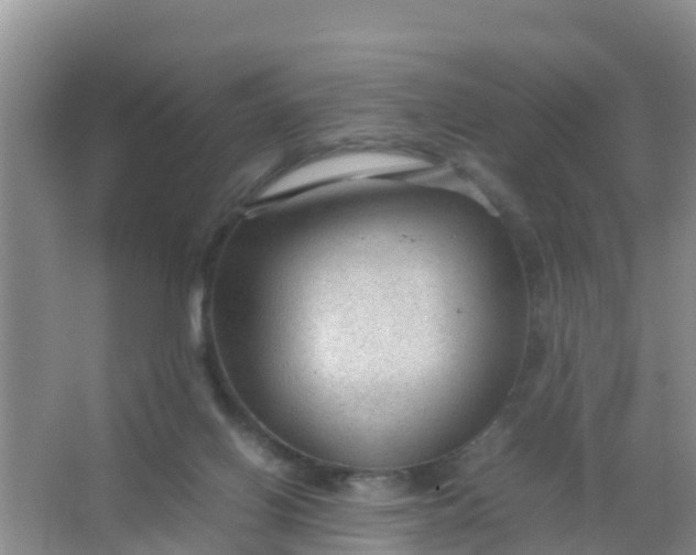 X0000066940070200604071923