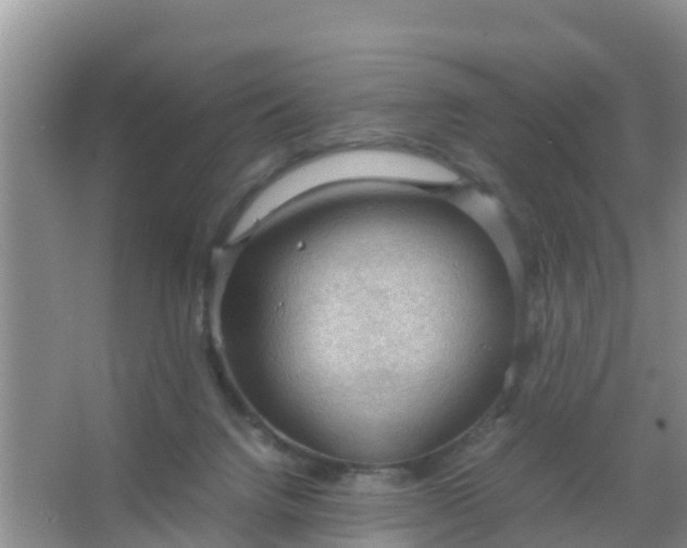 X0000066940072200604071923