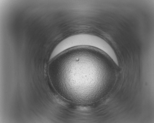 X0000066940073200604071923