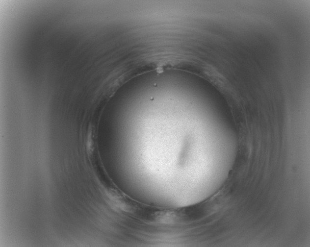 X0000066940074200604071923