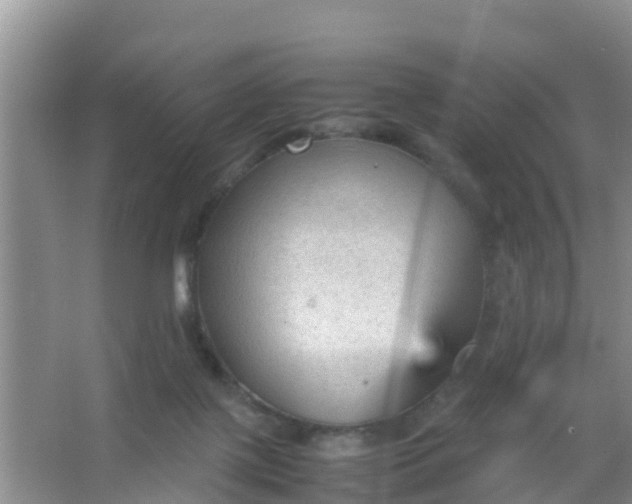 X0000066940075200604071923