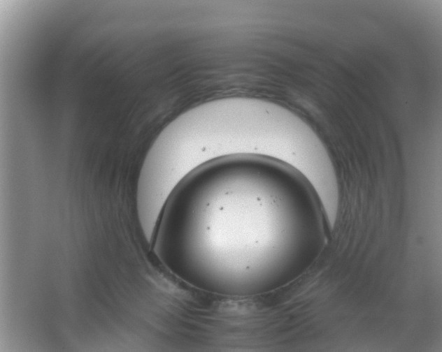 X0000066940077200604071923