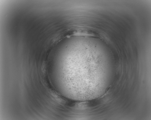 X0000066940078200604071923