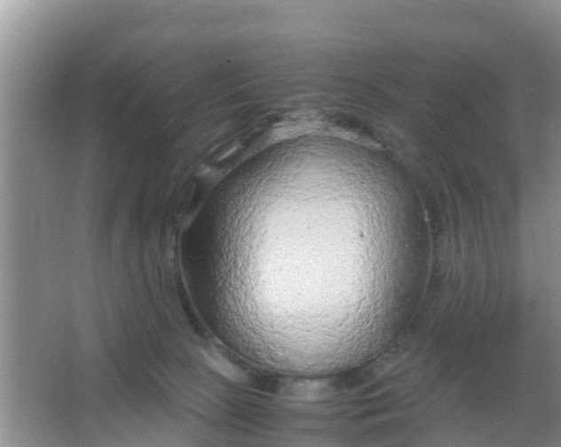 X0000066940081200604071923