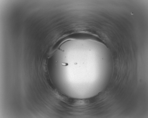 X0000066940083200604071923