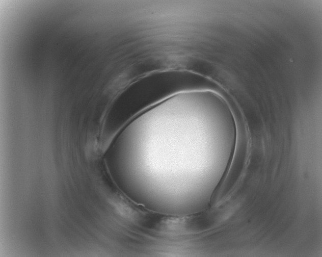 X0000066940084200604071923