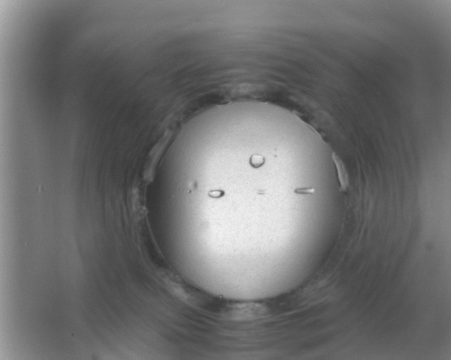 X0000066940087200604071923