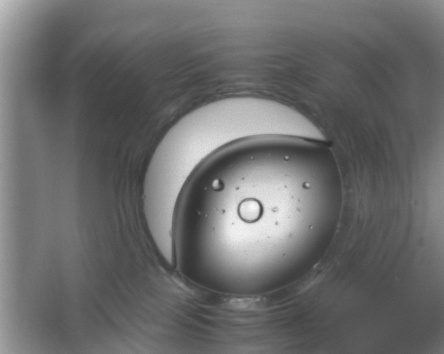 X0000066940089200604071923