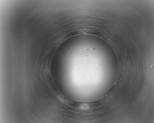 X0000066940091200604071923