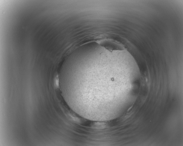 X0000066940095200604071923