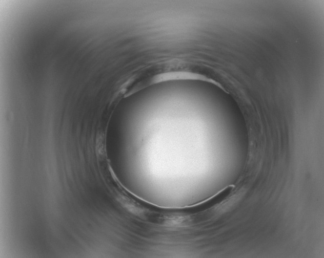 X0000066940096200604071923