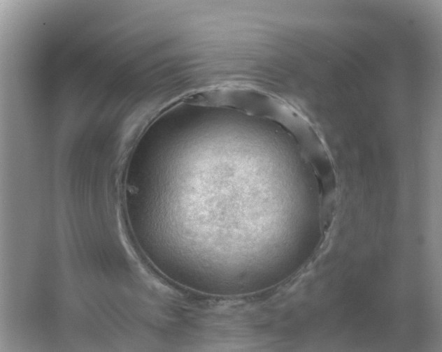 X0000066940097200604071923