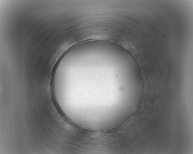 X0000066940098200604071923