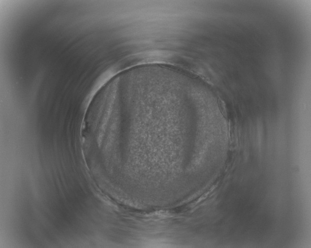 X0000066940099200604071923