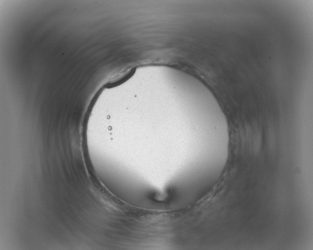 X0000066940100200604071923