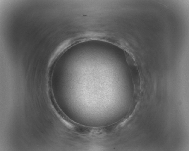 X0000066940101200604071923