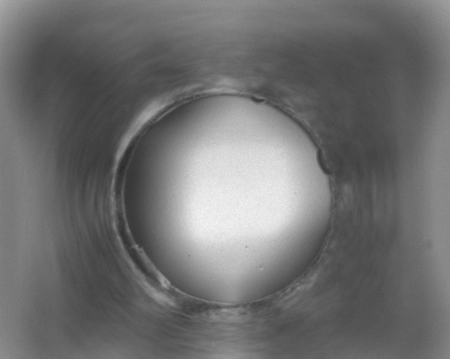 X0000066940102200604071923