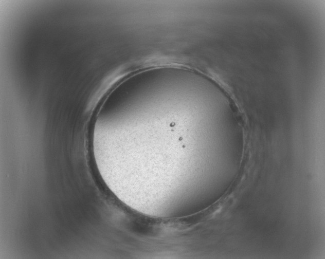 X0000066940103200604071923