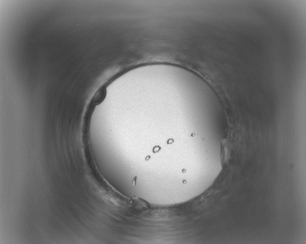 X0000066940104200604071923