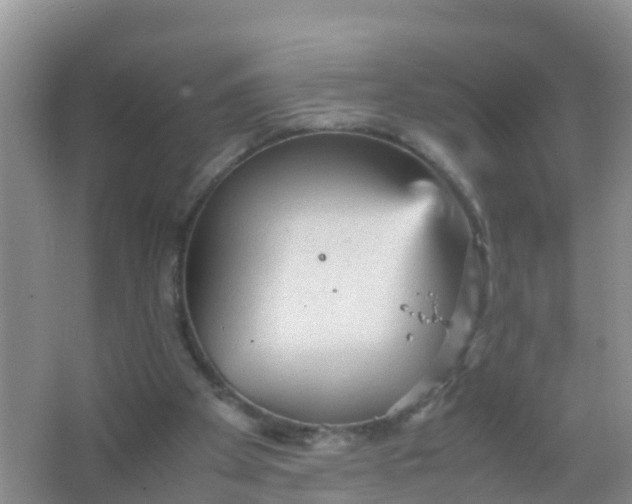 X0000066940105200604071923