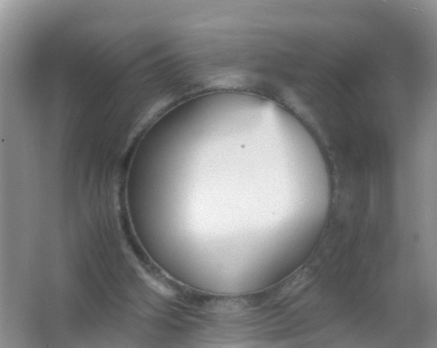 X0000066940106200604071923