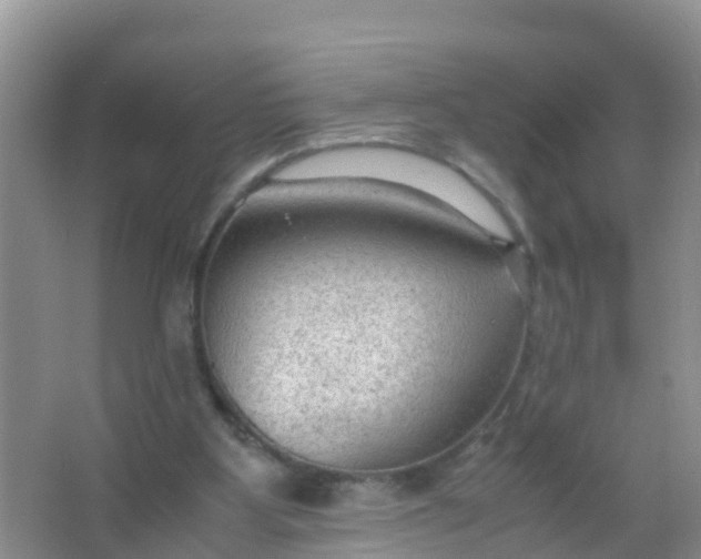 X0000066940107200604071923