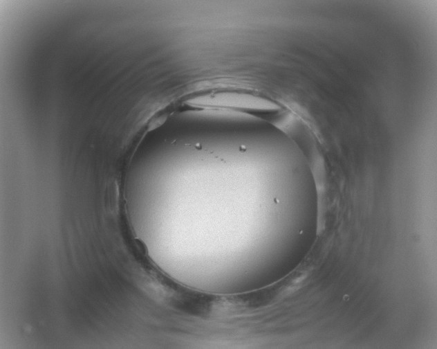 X0000066940109200604071922