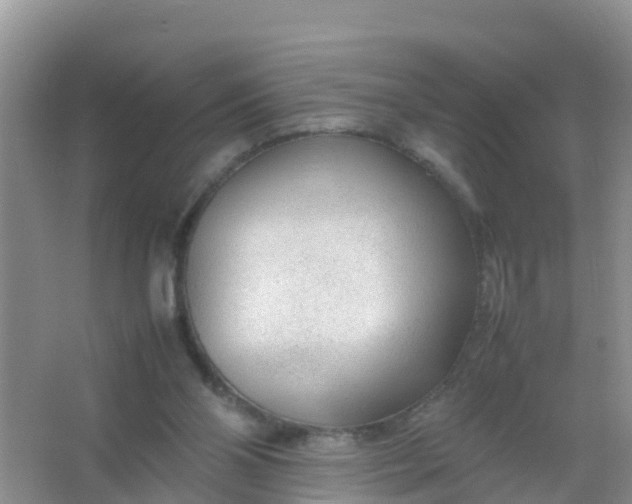 X0000066940110200604071922